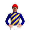 Jockey Silk