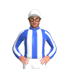 Jockey Silk