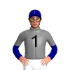 Jockey Silk