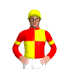 Jockey Silk