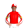 Jockey Silk