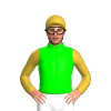 Jockey Silk