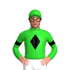 Jockey Silk