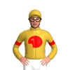 Jockey Silk