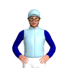 Jockey Silk