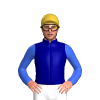 Jockey Silk