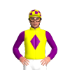 Jockey Silk