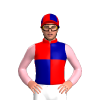 Jockey Silk