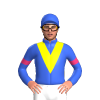 Jockey Silk