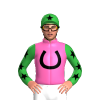 Jockey Silk