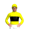 Jockey Silk