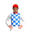 Jockey Silk