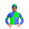 Jockey Silk