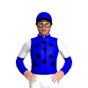 Jockey Silk
