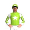 Jockey Silk