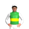 Jockey Silk