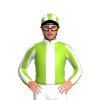 Jockey Silk