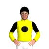 Jockey Silk