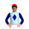Jockey Silk