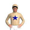 Jockey Silk