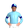 Jockey Silk