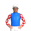 Jockey Silk