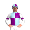 Jockey Silk