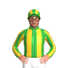 Jockey Silk