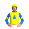 Jockey Silk