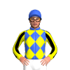 Jockey Silk