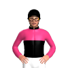 Jockey Silk