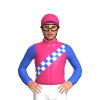 Jockey Silk