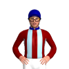 Jockey Silk