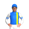 Jockey Silk