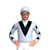Jockey Silk