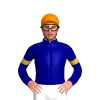Jockey Silk