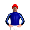 Jockey Silk