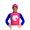 Jockey Silk