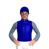 Jockey Silk