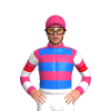 Jockey Silk