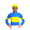 Jockey Silk