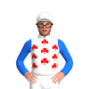 Jockey Silk