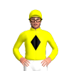 Jockey Silk