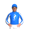 Jockey Silk