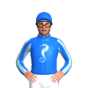 Jockey Silk