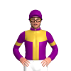 Jockey Silk
