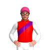 Jockey Silk