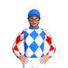 Jockey Silk