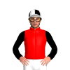 Jockey Silk