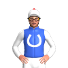 Jockey Silk